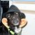 Judy Harris's profile image