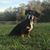 Merrily May Mundy's profile image