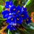 Geri Carter's profile image