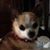 Grace Ebling's profile image