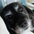 Julie Smith's profile image