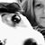 Natalie Schwartz Wells's profile image