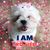 Lourie Rolland-James's profile image