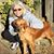 Athena Harrington's profile image