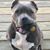 Nicole Riccitello's profile image
