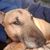Darrin Blankenship's profile image