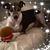 Barbara Phillippi's profile image