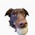 Frank Effenberger's profile image