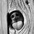 Frank Barranco's profile image