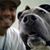 A Sapo Gonzalez's profile image