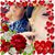Karen Meyerdirk's profile image