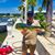 Steven Dilbeck's profile image