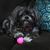 Holly-Jerry Sweet-Willis's profile image