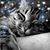 Linda Peterson's profile image