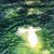 Diana Baldwin Martinez's profile image