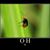 Marion K Armstrong's profile image
