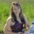 JoAnne Reese's profile image