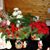 Pam Grahn Wenzel's profile image
