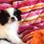 Donna Jones's profile image