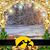 Teresa Compagnone's profile image