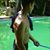 Mohammad Saleem's profile image