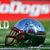 Francisco El Cubron Sanchez Jr.'s profile image
