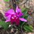 Mayra Lorenzana-Miles's profile image