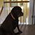 Rhonda Joy's profile image