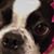 Helene Rae Scarcia's profile image