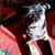 Teresa Hunter's profile image