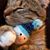 Susan Chudy Zabatta's profile image