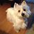 Shirley Pharis's profile image