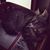 Judy Royer Passaro's profile image