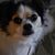 Barbara Taylor's profile image