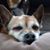 Keith Phillips's profile image