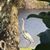 Gail Hapeman's profile image