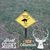 Cynthia S Laake Leigh's profile image