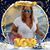Martha Teramo's profile image