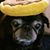 Paul Cote's profile image