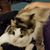 Tonie Carver's profile image