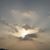 Reem Saeid's profile image