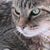 Megan Babowicz's profile image