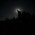 Cindy Hodge Schaures's profile image