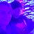 Elizabeth Amber-Lee Chastain's profile image