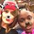 Stephanie Marie's profile image