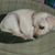 Leah Larsen's profile image