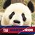 Paul Kulesa's profile image