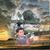 Alisi Fa Weber's profile image