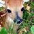 Susan Smith's profile image