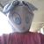 Miguel Moreno Martinez's profile image